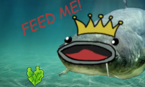 Feed me! cover Feed me! cover